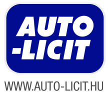 AutoLicit_logo-01 1